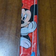 ミッキー　カイト