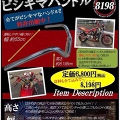ビシキマハンドル　ビシキマハン　国内正規品　早期引き取り6500円