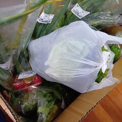 必要な方✨規格外お野菜達✨残り1組様の画像