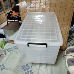 【とってもキレイ!】衣装ケース
