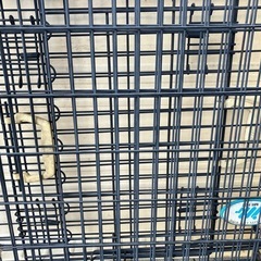 犬用　折りたたみゲージの画像