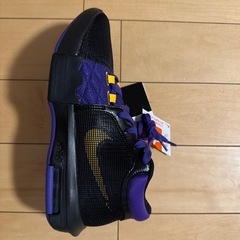 NIKEバッシュ
の画像