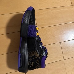 NIKEバッシュ
の画像