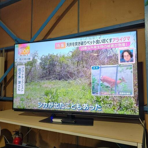 8924‼️関西エリア配送設置可🙌‼️ネット動画サービス対応 8924‼️関西エリア配送設置可🙌‼️ネット動画サービス対応