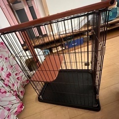 キャット　ハウス　タワー　猫　の画像