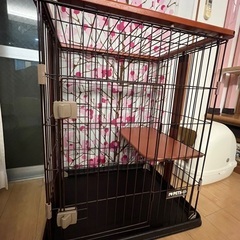 キャット　ハウス　タワー　猫　の画像