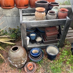 メダカ飼育　鉢　盆栽鉢