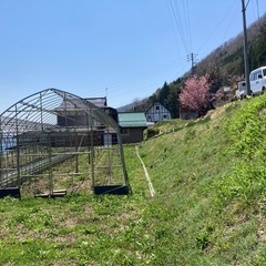ビニールハウスの画像
