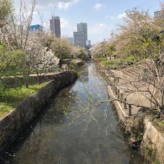 新メンバー募集