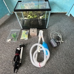 Ⓜ️商品 【土日対応】 水槽セット　30cm   動作確認　現状渡し 
