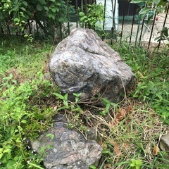 日本庭園　庭石　土あります　無料！の画像