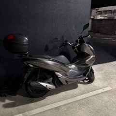 pcx125 JF81の画像