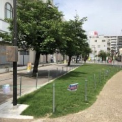 5月31日(土) 住道駅前芝生広場　ソラトマルシェ　イベント