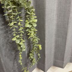 観葉植物（造花）