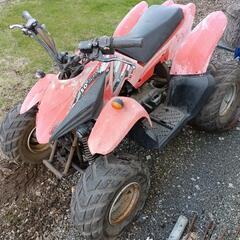 バギー ATV  デザートキャット