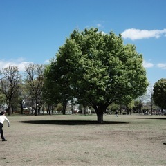 週末の散歩友だち募集🚶🏻カメラ好きだと嬉しいです📷 - 友達