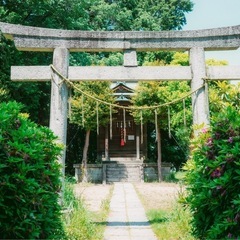 週末の散歩友だち募集🚶🏻カメラ好きだと嬉しいです📷
