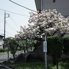 週末の散歩友だち募集🚶🏻カメラ好きだと嬉しいです📷 − 東京都