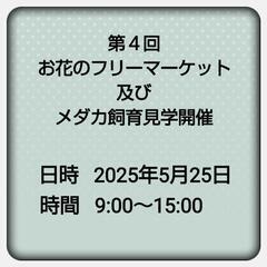 お花のフリーマーケット及びメダカの販売と飼育見学開催