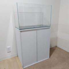 ADAキューブガーデン60cm、GEX水槽台