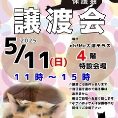 5/11（日）Oh!Me大津テラス保護猫の譲渡会🐈