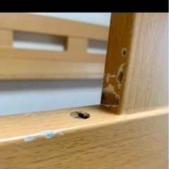 二段ベッドの画像