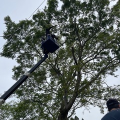 草刈り、伐採、抜根 など − 鹿児島県