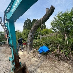 草刈り、伐採、抜根 など - 剪定/造園