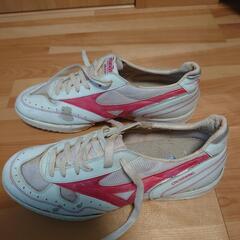 バレーボールシューズ／希少／RUNBIRD／MIZUNO／29.0cmの画像