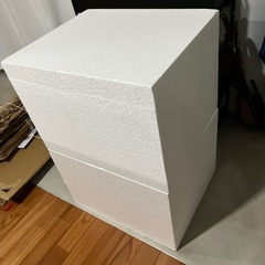 発泡スチロール2個の画像