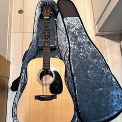 定価約25万　Martin Road Series D-12Eの画像