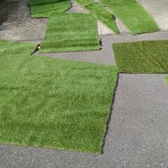 人工芝の端材全部2m×10m　全て引取可能な方のみ限定の画像