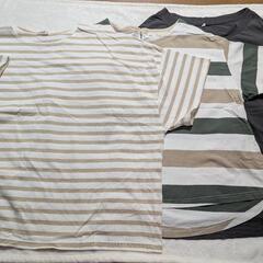 新品　未使用　フリー　4L Tシャツ　5枚セット　
