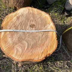 薪 広葉樹 玉切りの画像