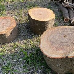 薪 広葉樹 玉切りの画像