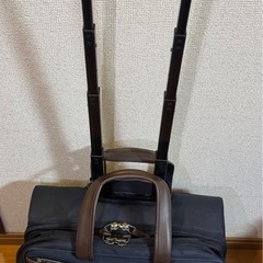 Ace.GENE No.45822 キャリーケース（トローリーバッグ）の画像