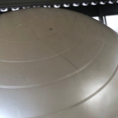 バランスボール 60cmの画像