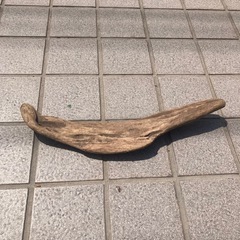 【一点もの】自然の曲線が美しい流木