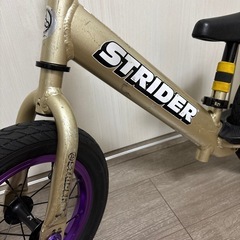 ストライダープロ（カラー:ゴールド）＆ダディラボホイール＆ダディーラボサドル＆ストライダープロテクター　セットの画像