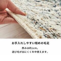 カーペット100×140の画像