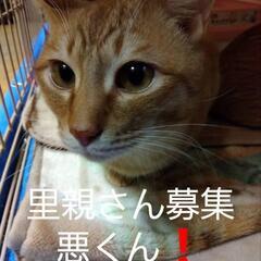 子供に迎えてあげてください❗