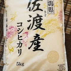 お米　コシヒカリ