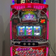データカウンター付きクイーンハナハナ