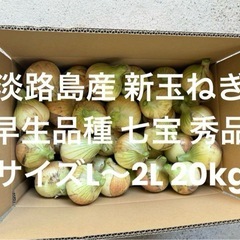 淡路島産 4月採れ 新玉ねぎ M～L 秀品 20kg早生品種 七...