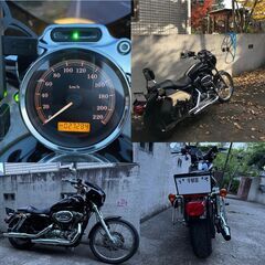 【美車】ハーレーダビッドソン(HARLEY-DAVIDSON) スポーツスター/XL1200C /黒 本体の画像