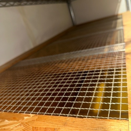 引き取り限定 自作 爬虫類ケージ 引き出し仕様