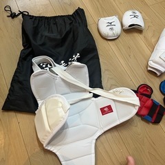 取引中　空手　防具の画像