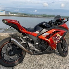 Ninja 250 ETC機付きの画像