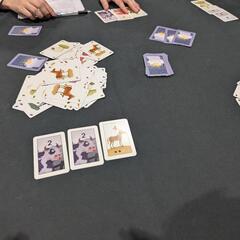 【苫小牧】5/18（日）第12回ボードゲーム交流会 沼ノ端交流センター − 北海道