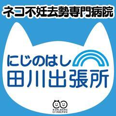 野良猫/保護猫のための不妊去勢手術専門病院🏥